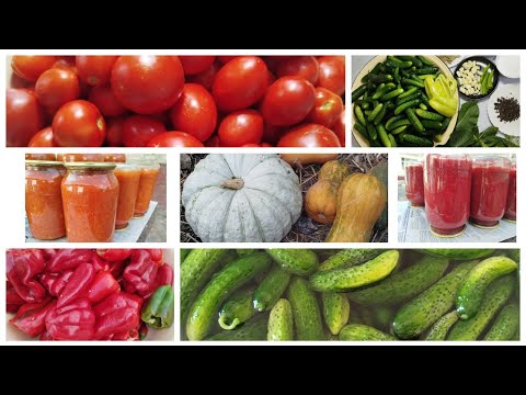 Видео: Бау-бақша  өсіру Көктем 🌷Жаз 🌞Күз ☔2025 #ауылөмірі #қызықвидео #бау-бақша 