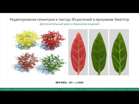 Видео: SU11. Редактирование геометрии и текстур 3D растений в программе SketchUp. Часть 1
