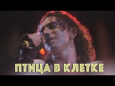 Видео: Валерий Леонтьев  - Птица в клетке (1991г.) | Made in India