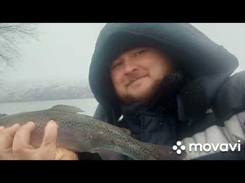 Видео: Как сохранить форелевую пасту.