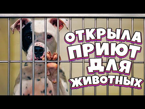 Видео: Я ОТКРЫЛА ПРИЮТ ДЛЯ ЖИВОТНЫХ // Animal Shelter