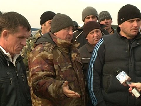 Видео: Перевозчики свеклы: конфликт в Волоконовке