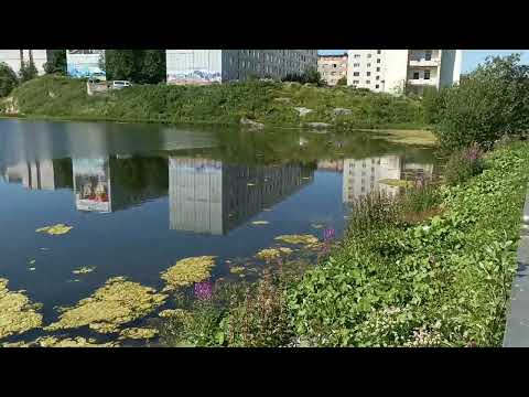 Видео: город Полярный ЗАТО Александровск и тротуары будущего