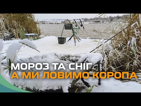 Видео: Ловимо коропа в мороз та сніг, водойма Острів