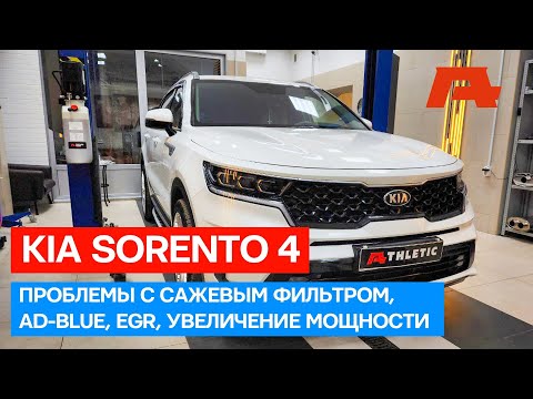 Видео: Решаем проблемы нового Kia Sorento: удаляем сажевый фильтр, отключаем AdBlue, EGR, делаем чип-тюнинг
