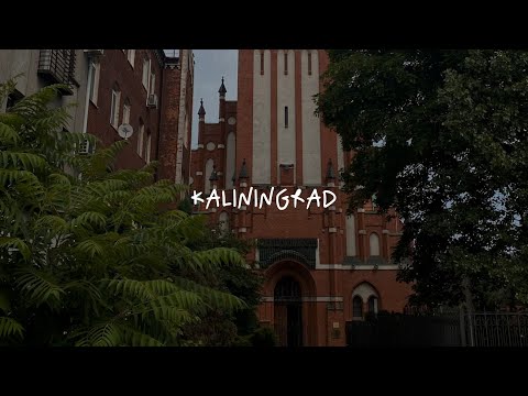 Видео: влог: одна лечу в Калининград