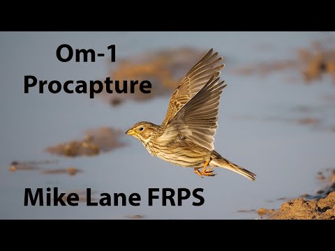 Видео: Прозахват с OM-1