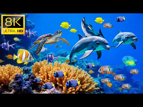 Видео: Исследуйте бездну в 8K HDR | Удивительные существа и глубины океана