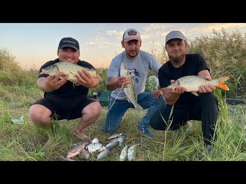 Видео: Рыбалка с друзьями: судаки, сазаны, еда и отдых на природе! 😋