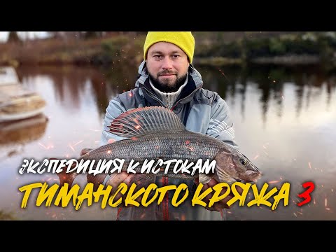 Видео: ЭКСПЕДИЦИЯ К ИСТОКАМ ТИМАНСКОГО КРЯЖА Ч.3 | МЧИМ НА АЭРОЛОДКЕ ПО ТУНДРЕ | ЛОВИМ ГИГАНТСКИХ ХАРИУСОВ