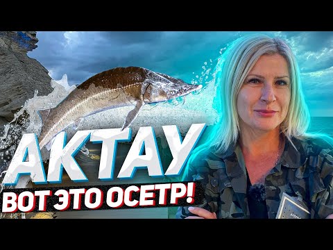 Видео: АКТАУ! Вот это ОСЁТР! / "А как там у них?" c Еленой Кукеле