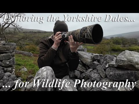 Видео: Исследование Йоркширских долин для фотосъемки дикой природы