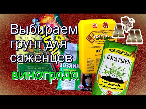 Видео: 🍇 Как выбрать грунт для выращивания саженцев винограда