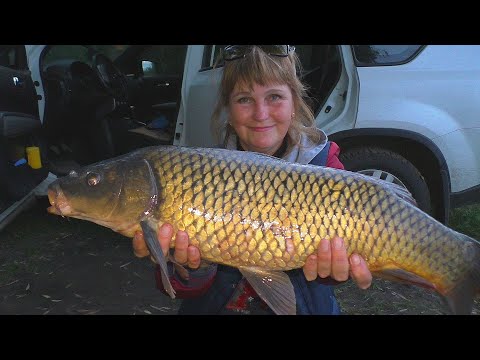 Видео: Рыбалка на новые пружины . Карп , караси и Ирин адреналин . Ловля раков на сало. My fishing