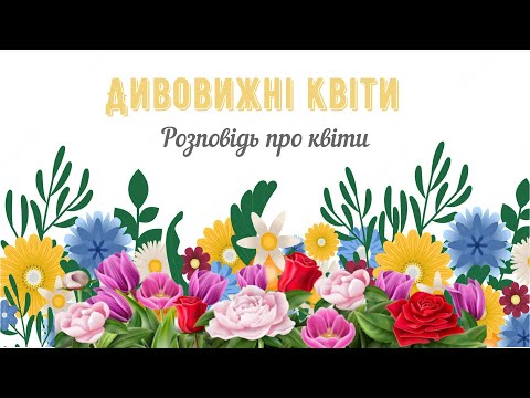 Видео: Дивовижні квіти🌺Розповідь про квіти✨