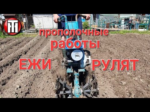 Видео: Прополка, картофеля《ЕЖАМИ》Робокрот рулит!!! 08.06.2022г.