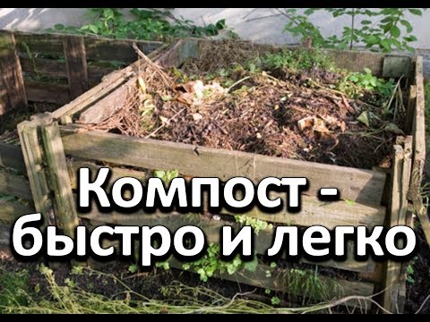 Видео: Простой и легкий способ получения питательного компоста осенью.