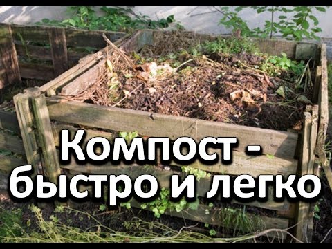 Видео: Простой и легкий способ получения питательного компоста осенью.