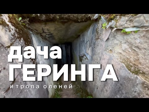 Видео: Забрёл на дачу Геринга | ПВД в Пруссии