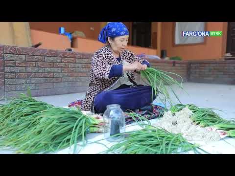 Видео: 🌱 Фарғона вилоятида боғ-ток қатор ораларига август-сентябрь ойларида пиёз, саримсоқпиёз экилдими?
