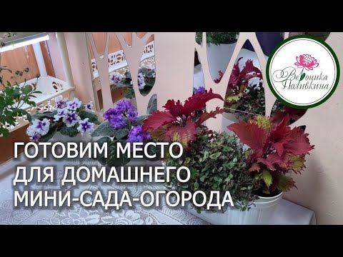 Видео: ГОТОВИМ МЕСТО ДЛЯ ЗИМНЕГО САДА ОГОРОДА