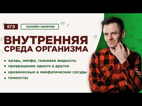 Видео: Внутренняя среда организма. Кровь и лимфа | ЕГЭ Биология | Даниил Дарвин