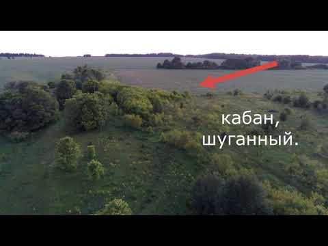 Видео: 0133 05  06 2021 Квадрокоптер Кабан Лось