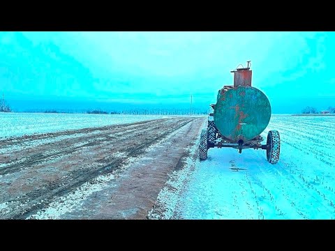 Видео: Зимнее органическое удобрение почвы. Сторож на ферме
