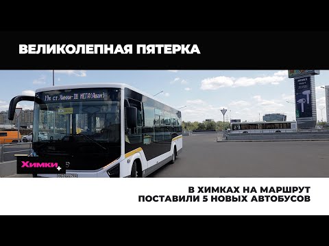 Видео: В ХИМКАХ НА МАРШРУТ ПОСТАВИЛИ 5 НОВЫХ АВТОБУСОВ