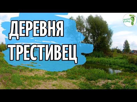 Видео: За Быховом. Деревня Трестивец.