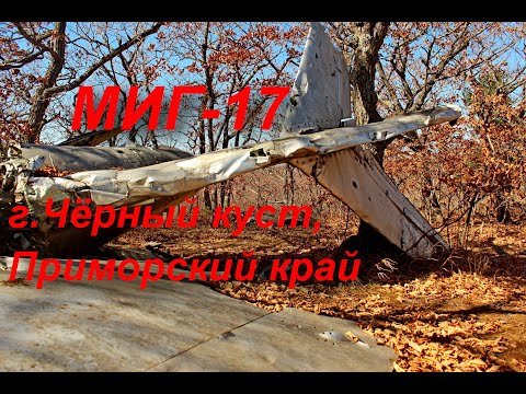Видео: Черный куст и поиски МИГ-17