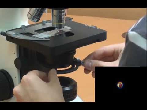 Видео: Освещение по методу Келлера