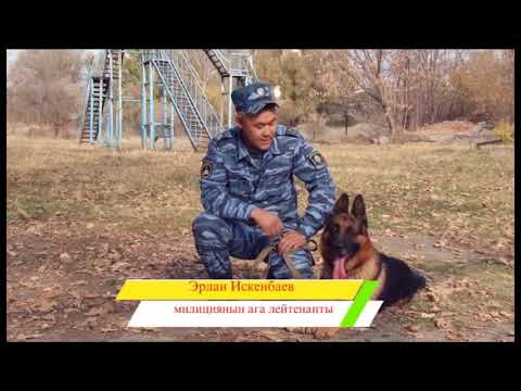 Видео: Кинология борбору