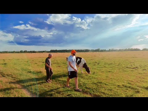 Видео: Часть 1. В деревне у т. Люси и д. Коли. Август 2025🥰