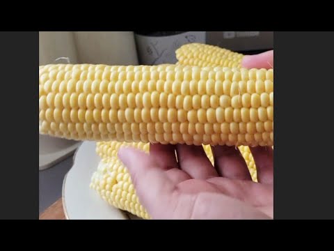 Видео: Киш га Макка жухори саклаш