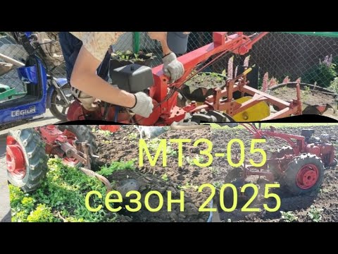 Видео: МТЗ-05 окучивание картофеля дисковым окучником, вспашка по сидератам и обо всем по немногу.