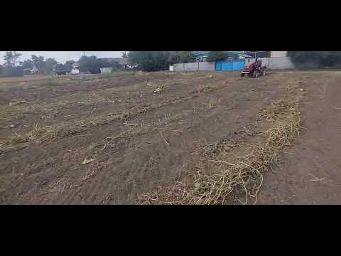 Видео: Згортання гарбузиння 