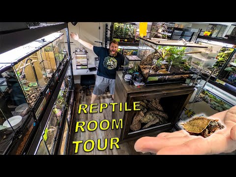 Видео: Экскурсия по залу рептилий в октябре 2025 г.!