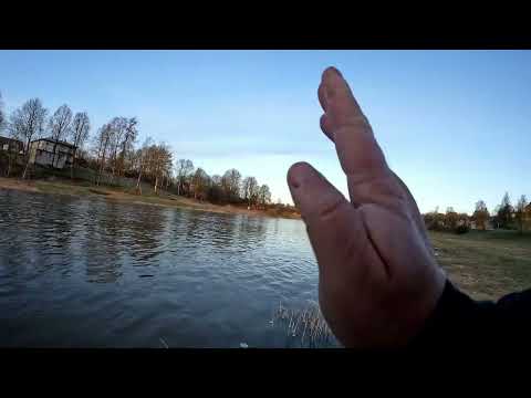 Видео: Другая река и совсем другая рыба, она не знает меня а я не знаю её, отчёт Но226