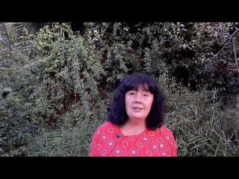 Видео: О медитации и природе ума для начинающих