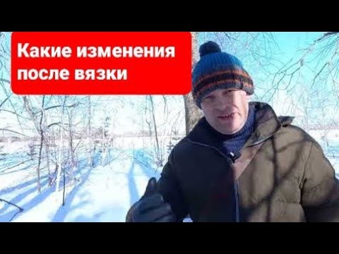 Видео: Поведение собаки после вязки.