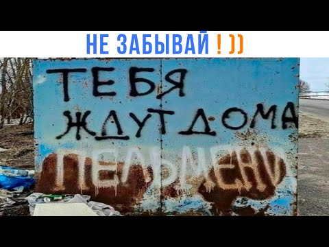 Видео: Тебя ждут дома ПЕЛЬМЕНИ! ))) Приколы | Мемозг 1474