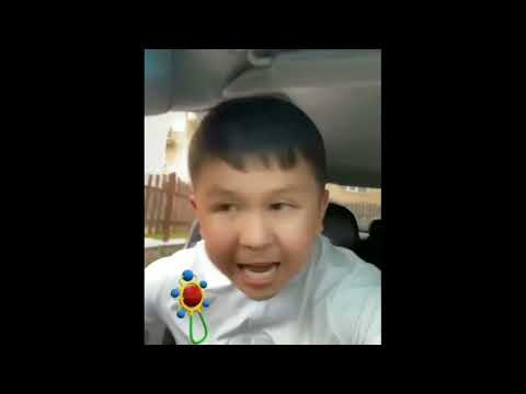 Видео: Жаны вайн 2022 / Шашпай коруп койгула