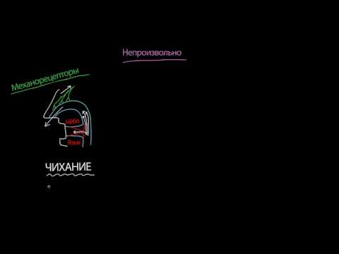 Видео: Чихание, кашель и икота