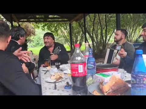 Видео: АВАРЦЫ ОТДЫХАЮТ 20-09-2025