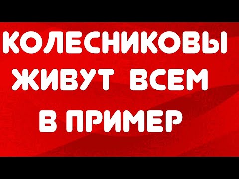 Видео: Колесниковы живут всем в пример// Обзор видео//