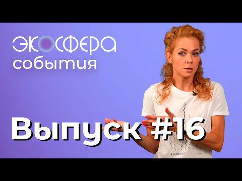Видео: «Влияние экологии на наше здоровье». Выпуск №16
