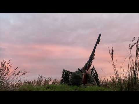 Видео: Элмер Фаддс: Недостающее звено! — Утренние полёты — Wildfowling