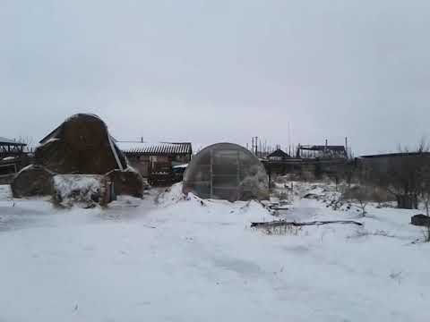 Видео: Как и когда глистогонить коз🐐