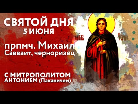 Видео: Святой дня. 5 июня. Преподобномученик Михаил Савваит, черноризец.